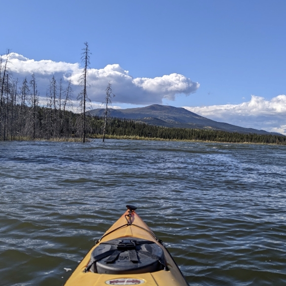 Meet your Posher, Katelyn - Picture 1 of 1